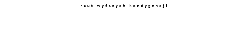  rzut wyższych kondygnacji 