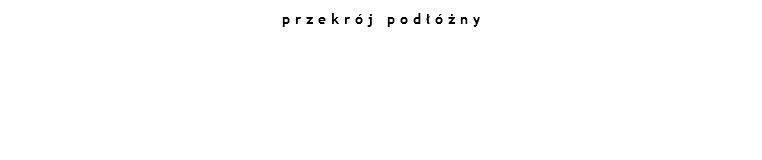 przekrój podłóżny 