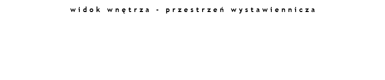 widok wnętrza - przestrzeń wystawiennicza