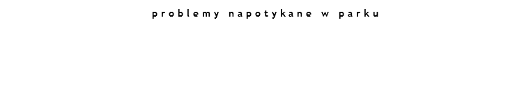 problemy napotykane w parku